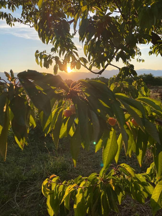 Nena Dashuri Agroturizem Peshkopi Eksteriør billede